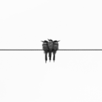 Boldog szülinapot, Mábel!